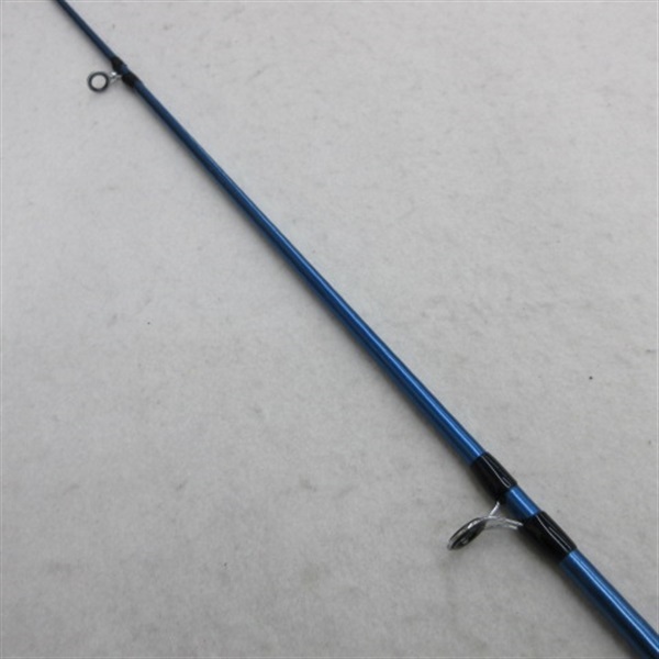 サーフリーダーＥＶＳＦ４２５ＣＸ